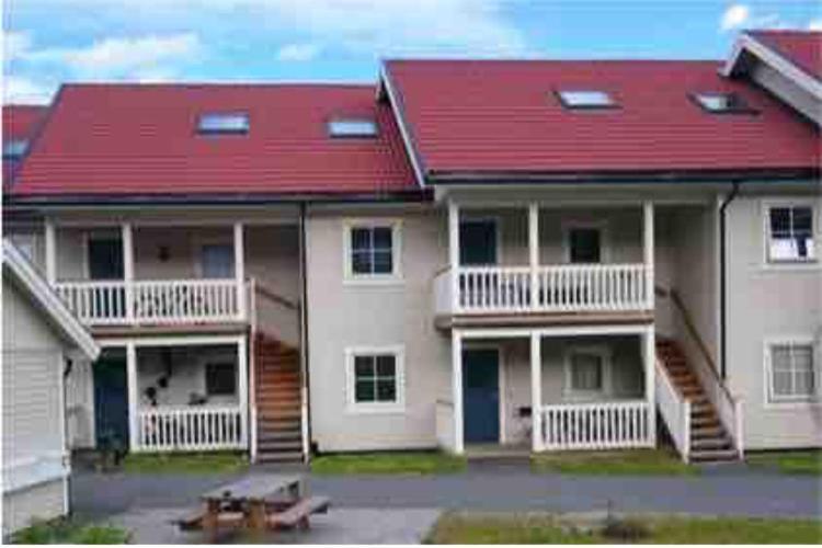 Sleep Well 1 Apartamento Kongsberg Exterior foto